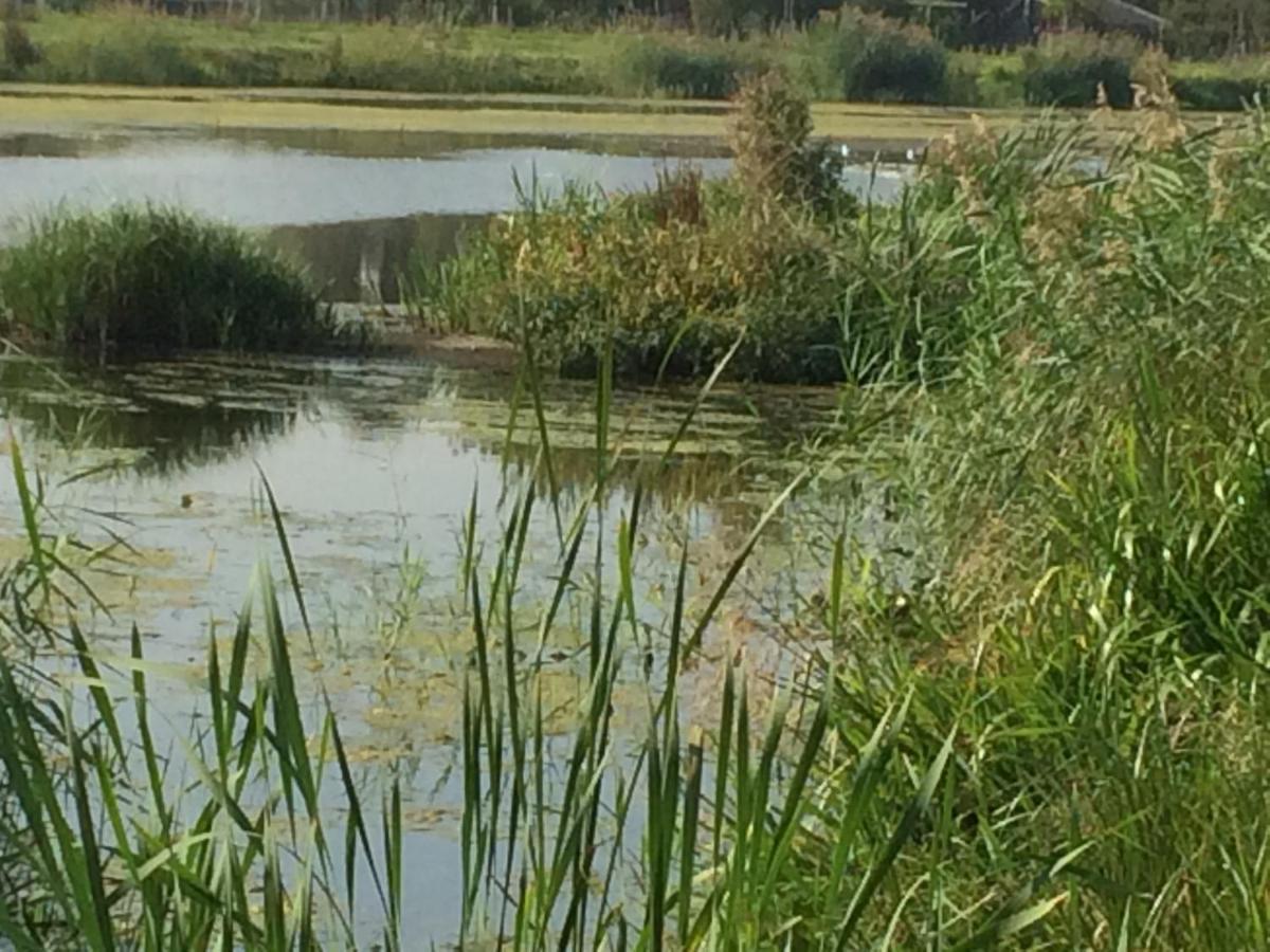 Hoeve Cornelia Berkel en Rodenrijs 外观 照片