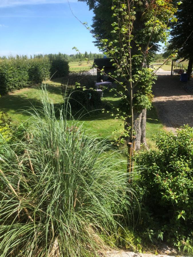 Hoeve Cornelia Berkel en Rodenrijs 外观 照片